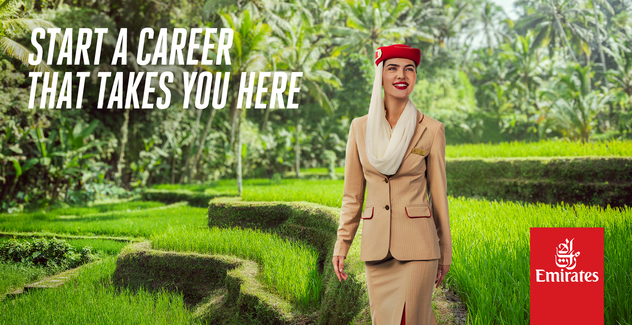 Cabin Crew