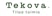 Tekova logo