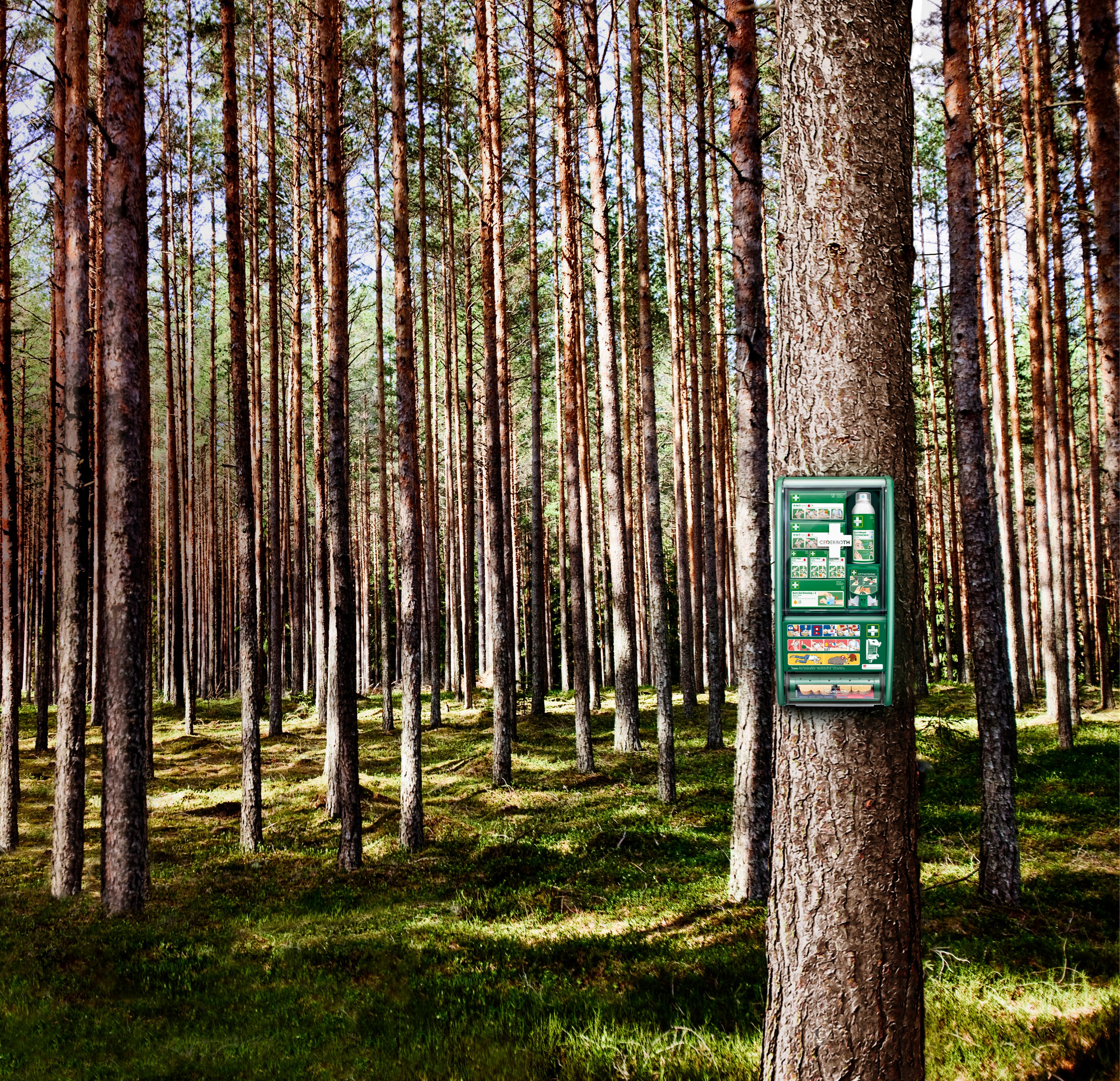 Sales Manager Cederroth First Aid, Finland &amp; Baltics