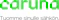 Caruna logo