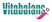 Vitabalans Oy logo