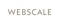 Webscale Oy logo