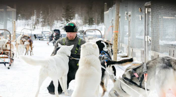 Rekikoiraopas, Lapland Husky Safaris Levi-Ylläs