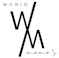 Wario Physics oy/Wario Mama's logo
